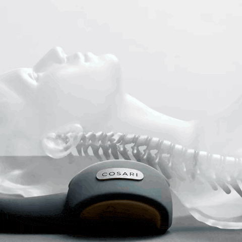 The 26° contour cradling the neck