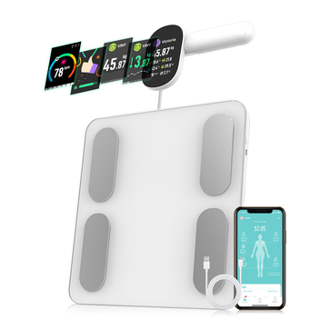 Smart Scale V2