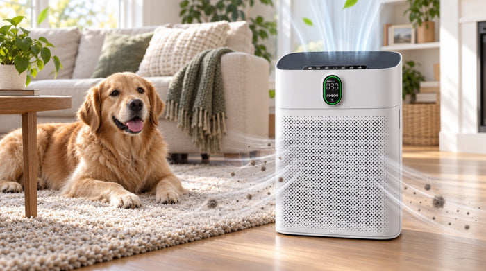 Cosari ClearAir 300 in a living room with a dog, pulling in dust and pet hair